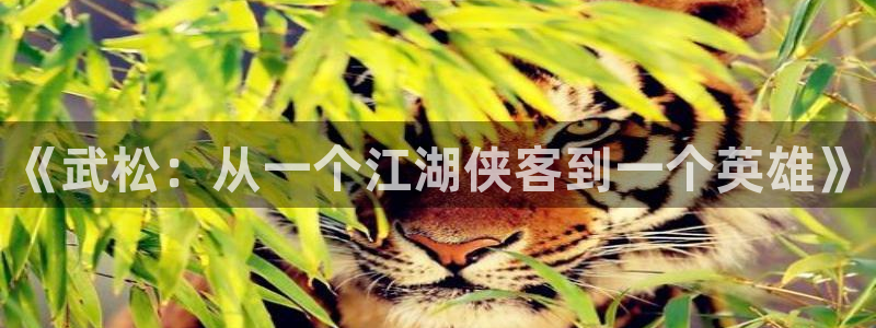 同人腐漫画网